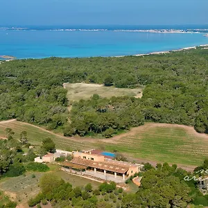 Ses Arenes , Colonia de Sant Jordi Spagna